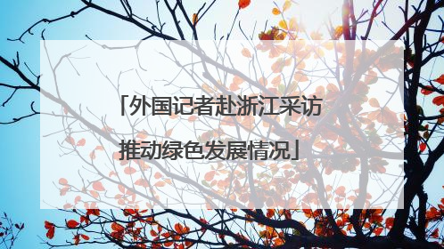 外国记者赴浙江采访推动绿色发展情况
