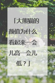 大熊猫的颜值为什么看起来一会儿高一会儿低？