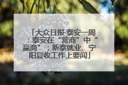 大众日报·泰安一周：泰安在“营商”中“赢商”；新泰就业、宁阳夏收工作上要闻