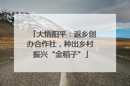 大悟阳平：返乡创办合作社，种出乡村振兴“金稻子”