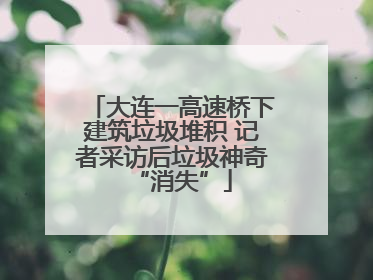 大连一高速桥下建筑垃圾堆积 记者采访后垃圾神奇“消失”