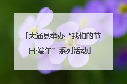 大通县举办“我们的节日·端午”系列活动