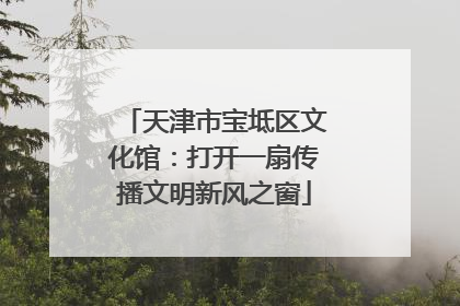 天津市宝坻区文化馆：打开一扇传播文明新风之窗