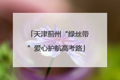 天津蓟州“绿丝带”爱心护航高考路