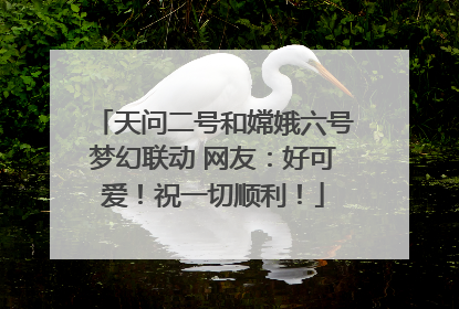 天问二号和嫦娥六号梦幻联动 网友：好可爱！祝一切顺利！