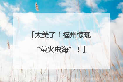 太美了！福州惊现“萤火虫海”！