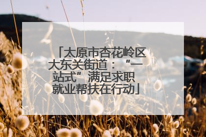 太原市杏花岭区大东关街道：“一站式”满足求职 就业帮扶在行动