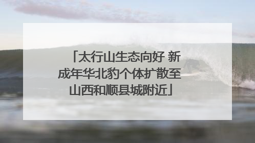 太行山生态向好 新成年华北豹个体扩散至山西和顺县城附近