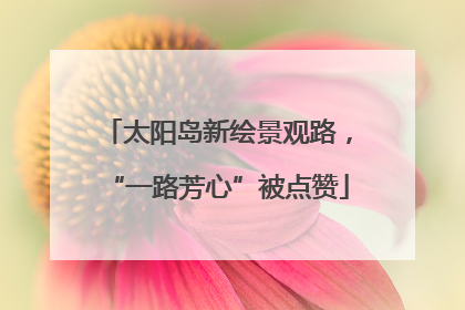 太阳岛新绘景观路，“一路芳心”被点赞