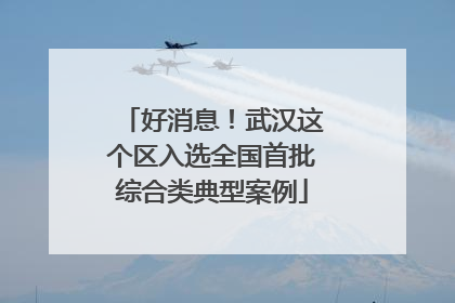 好消息！武汉这个区入选全国首批综合类典型案例