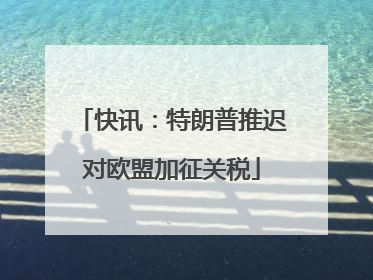 快讯：特朗普推迟对欧盟加征关税