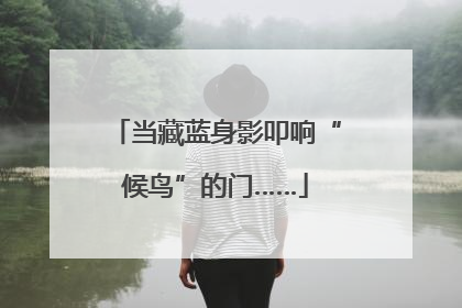 当藏蓝身影叩响“候鸟”的门……