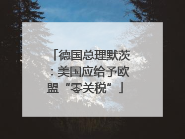 德国总理默茨：美国应给予欧盟“零关税”