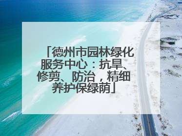 德州市园林绿化服务中心：抗旱、修剪、防治，精细养护保绿荫