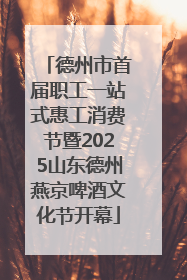 德州市首届职工一站式惠工消费节暨2025山东德州燕京啤酒文化节开幕