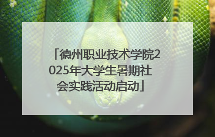 德州职业技术学院2025年大学生暑期社会实践活动启动