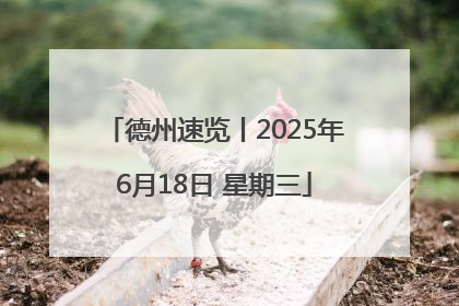 德州速览丨2025年6月18日 星期三
