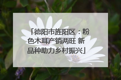 德阳市旌阳区：粉色木耳产销两旺 新品种助力乡村振兴