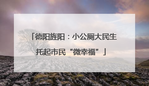德阳旌阳：小公厕大民生 托起市民“微幸福”