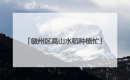 徽州区高山水稻种植忙