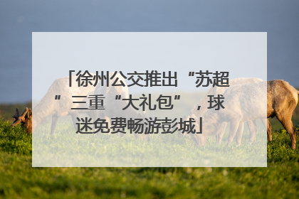 徐州公交推出“苏超”三重“大礼包”，球迷免费畅游彭城