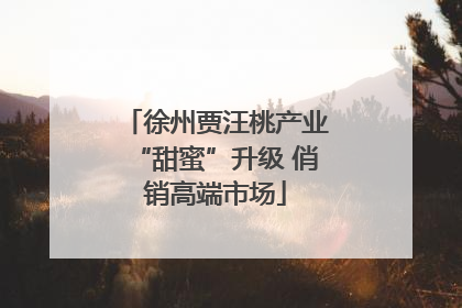 徐州贾汪桃产业“甜蜜”升级 俏销高端市场