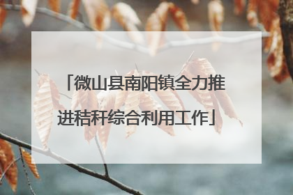 微山县南阳镇全力推进秸秆综合利用工作