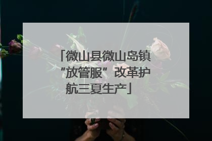微山县微山岛镇“放管服”改革护航三夏生产