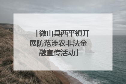 微山县西平镇开展防范涉农非法金融宣传活动