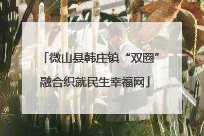 微山县韩庄镇“双圈”融合织就民生幸福网
