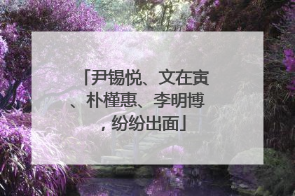 尹锡悦、文在寅、朴槿惠、李明博，纷纷出面