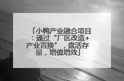小鸭产业融合项目：通过“厂区改造+产业置换”，盘活存量，增值增效