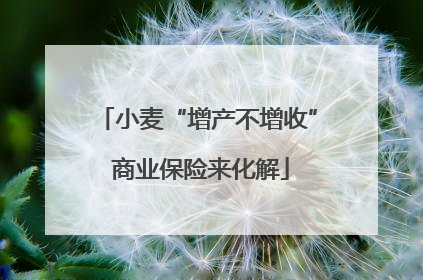 小麦“增产不增收” 商业保险来化解