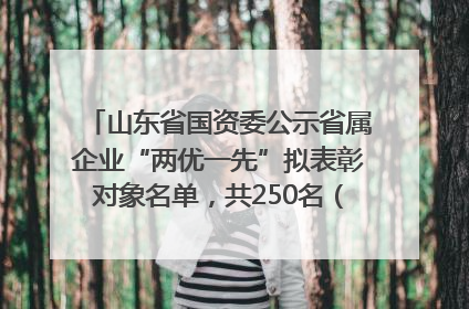 山东省国资委公示省属企业“两优一先”拟表彰对象名单，共250名（个）党员和党组织