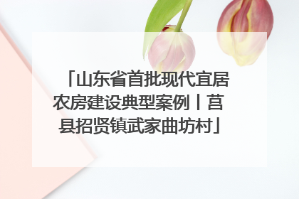山东省首批现代宜居农房建设典型案例丨莒县招贤镇武家曲坊村