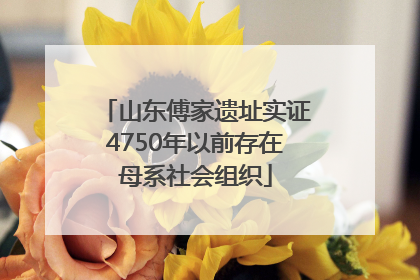 山东傅家遗址实证4750年以前存在母系社会组织
