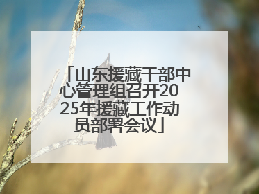 山东援藏干部中心管理组召开2025年援藏工作动员部署会议
