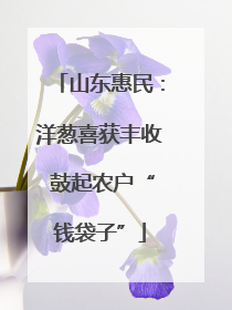 山东惠民：洋葱喜获丰收 鼓起农户“钱袋子”