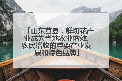 山东莒县：鲜切花产业成为当地农业增效、农民增收的重要产业发展和特色品牌