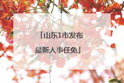 山东1市发布最新人事任免