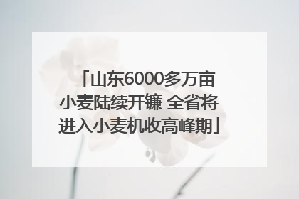 山东6000多万亩小麦陆续开镰 全省将进入小麦机收高峰期