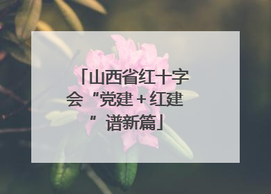 山西省红十字会“党建＋红建”谱新篇