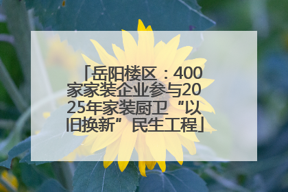 岳阳楼区：400家家装企业参与2025年家装厨卫“以旧换新”民生工程
