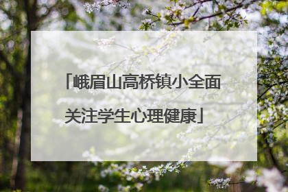 峨眉山高桥镇小全面关注学生心理健康