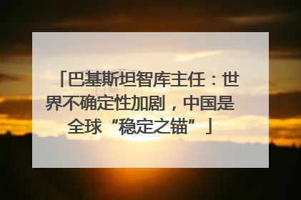 巴基斯坦智库主任：世界不确定性加剧，中国是全球“稳定之锚”