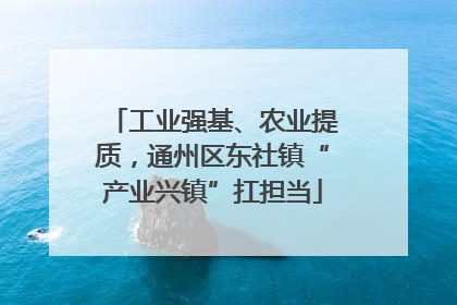 工业强基、农业提质，通州区东社镇“产业兴镇”扛担当