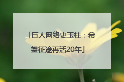 巨人网络史玉柱：希望征途再活20年