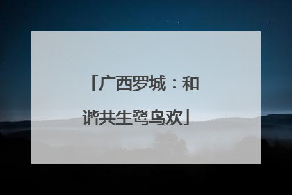 广西罗城：和谐共生鹭鸟欢