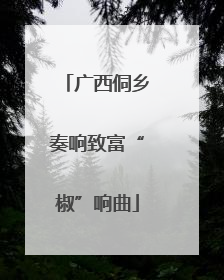广西侗乡奏响致富“椒”响曲