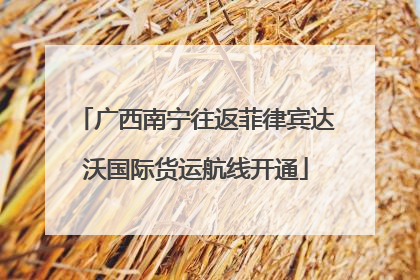 广西南宁往返菲律宾达沃国际货运航线开通